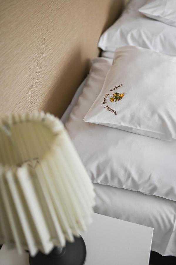 Vasko Panzio Borpince Bed & Breakfast โทไก ภายนอก รูปภาพ